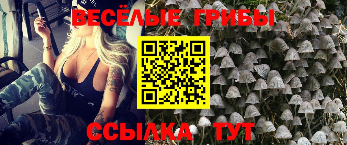 Иваново  Галлюциногенные грибы GOLDEN TEACHER  Галлюциногенные грибы GOLDEN TEACHER  Вход с VPN 