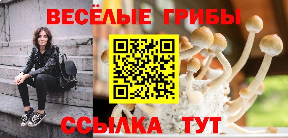 Галлюциногенные грибы ЛСД Иваново